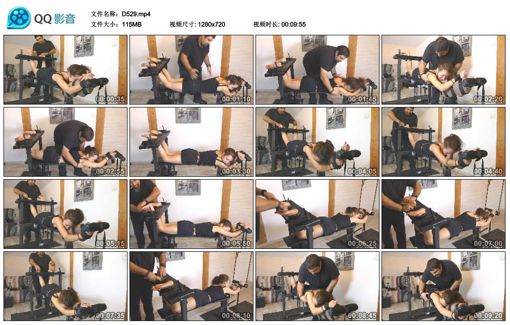 D529.jpg Years More Ever - D529  第1张