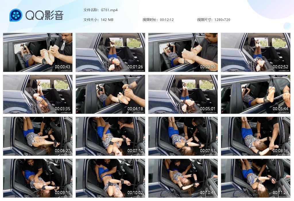 O.jpg Gwenola's Ultimate Car - G761  第1张