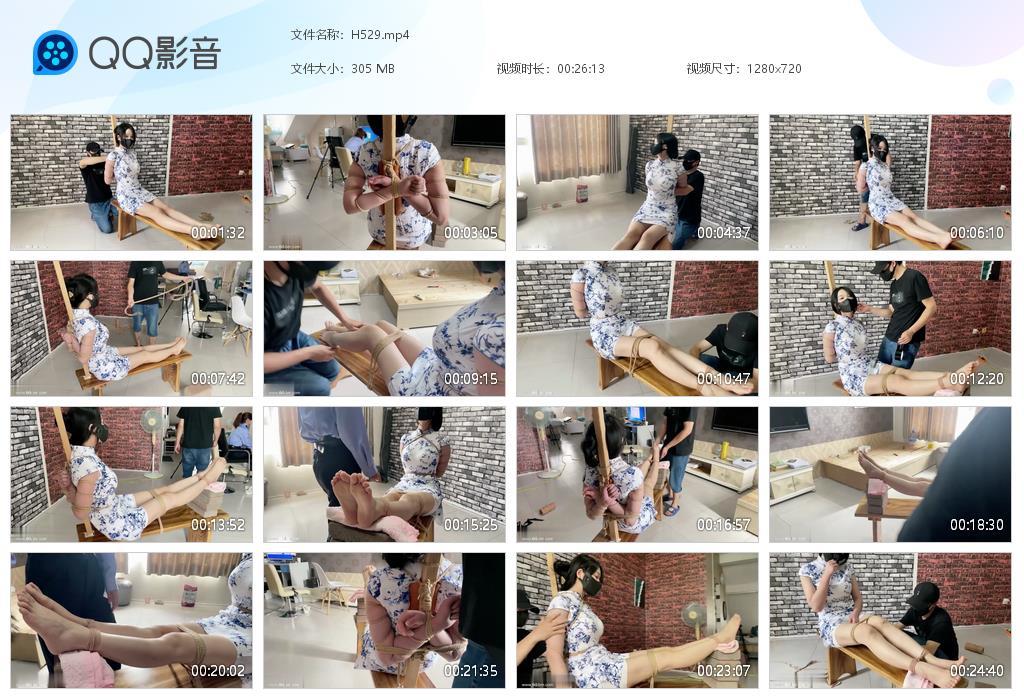 G.jpg 旗袍老虎凳挠痒 - H529  第1张